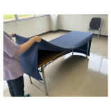 キャリーイメージ